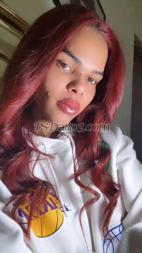 trans girl AmericanAng 7576113