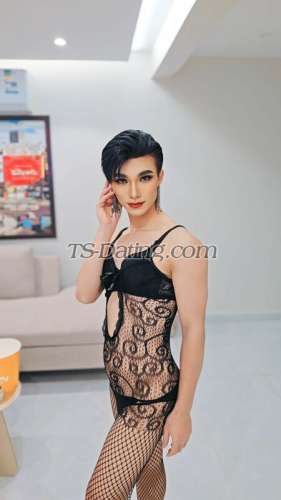 trans girl Ammy78 3181089
