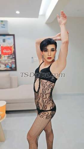 trans girl Ammy78 3181313