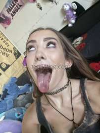 AmyJay Edmonton Transex Hi daddy!

I'm Amy, a fun and outgoing  bimbo bombshell trans girl! I'm a submissive bottom, can be dom if you want. Known for my huge bimbo lips. Love sucking and getting facefucked! Making sure you have a fun time and getting off while being discrete and safe is my priority! I'm open minded and have a friendly and upbeat personality. 6 inches candy. I'm located at a new luxury high rise condo in downtown Edmonton! Incalls or outcalls. Let's have some fun, I'll be your doll.

Bbbj, cim, cof, dfk, gfe, all included.

Msog included in one hour and up sessions only*

INCALL:

$380/Hour

$250/Half Hour

$2200/Overnight

OUTCALL

$450/Hour + uber fees both ways