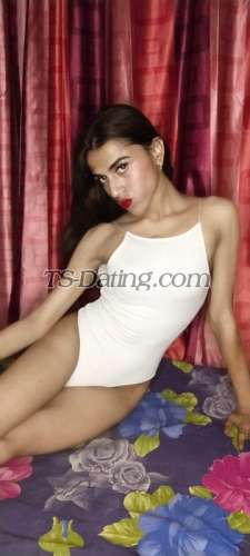 trans girl Amyra19 7913459