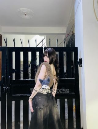 trans girl Amyscarlet 2371561 trans girl Amyscarlet 2371561