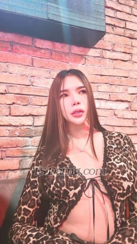 trans girl AnNhienn 2366153