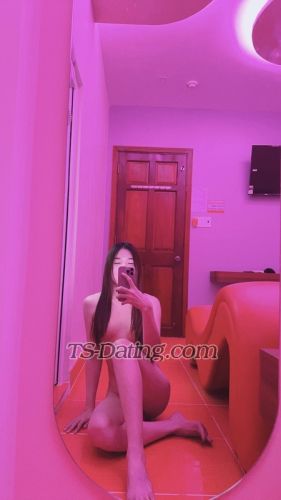 trans girl AnNhienn 7346913 trans girl AnNhienn 7346913