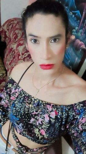 trans girl AnaIsabellav 7621942