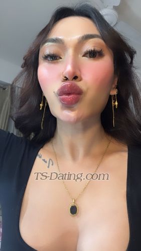 trans girl Andiwang 3965261