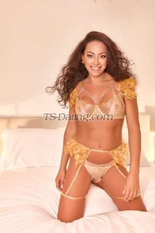 trans girl Andreia 3463792