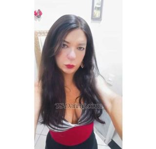 trans girl AndressaAlves 4976014