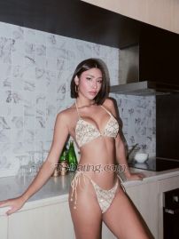 AngelLing423 Bangkok Transex Hey naughty boy! 👋🏼👋🏼 I am LingLing from
Bangkok, Thailand 🇹🇭  and I'm real model ladyboy
🏳️‍🌈 and Sex content created 🎥 🎬I
will come to make you lose your mind with me......be
careful I'M ADDICTIVE‼️🤭I’m the same as
pics and videos, 100% real. I’m pretty here but I’m
still better in person.
👅👅🤤🤤🔥🔥🔥• Respect comes
first🥵😘• The best company for
you❤️🍾• ⁠Slim and sculptural
body💦• give you to good Experience
🔞👩🏻‍❤️‍👨🏻 Now I know that
you want to enjoy with a best TS girl with great energy,
line or WhatsApp me, I guarantee you won't regret it!
❤️💙 Telegram +66831499624💚my Line :
sailor_tara🩷Instagrams : angel_linglingg423📞
0831499624