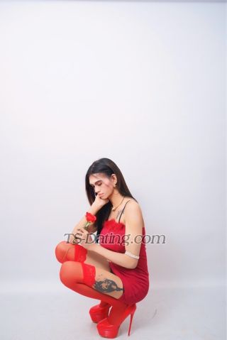 trans girl AngelSapp 3438714 trans girl AngelSapp 3438714