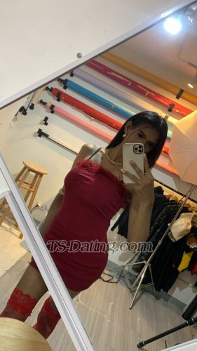 trans girl AngelSapp 3439495 trans girl AngelSapp 3439495