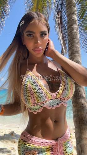 trans girl Angelash 6330308