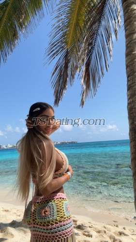 trans girl Angelash 6330495