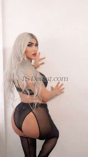 trans girl Ango007 7598781