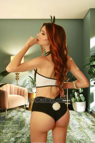 trans girl Aninha25 0205446