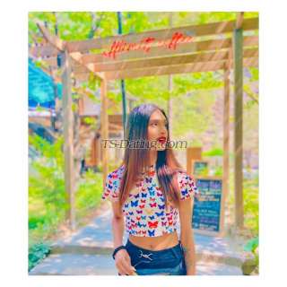 trans girl Ankita22 2560863