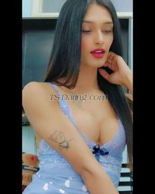 trans girl Ankita22 2785116