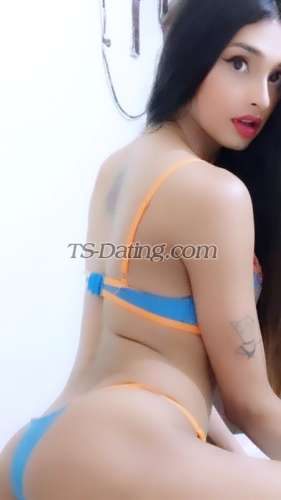 trans girl Ankita22 6478457