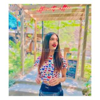 trans girl Ankita22 9795165