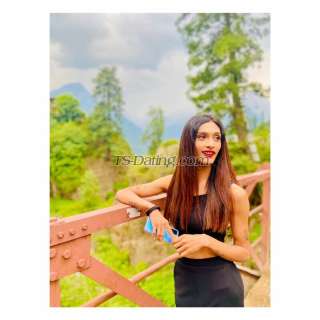 trans girl Ankita22 9795448