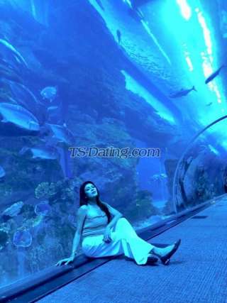 trans girl Ankita722 7883966