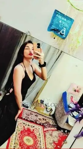 Shemale Ankyhott 5623747 Shemale Ankyhott 5623747