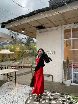 trans girl AnnaLoula 3462672