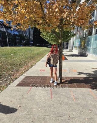 trans girl Annabellelove 9277494