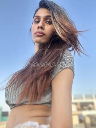 trans girl Anny010 3528209