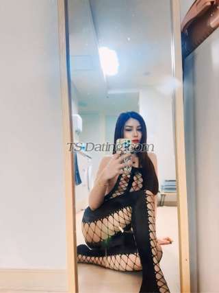 trans girl Annysexy44 0431795