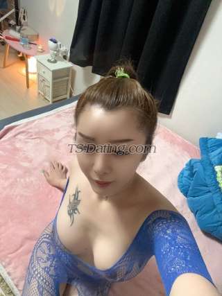 trans girl Annysexy44 0533700
