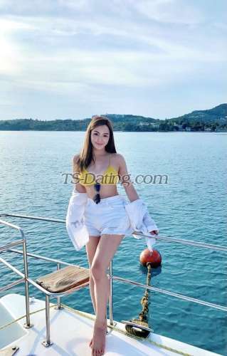 trans girl Annytrans girl 0897335