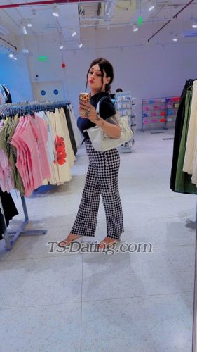 trans girl Anshikaa 3699254