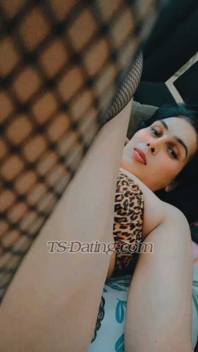 trans girl Anvi24 7733989