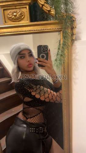 trans girl Arabian1Sun 4650326 trans girl Arabian1Sun 4650326