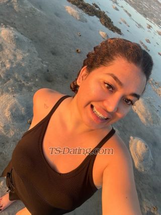 trans girl Arialiciousss 9662228