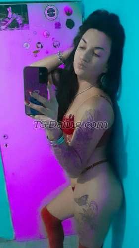 trans girl ArianaL 6182029 trans girl ArianaL 6182029