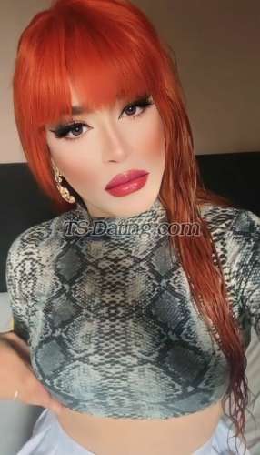 trans girl ArielXXL 4311405