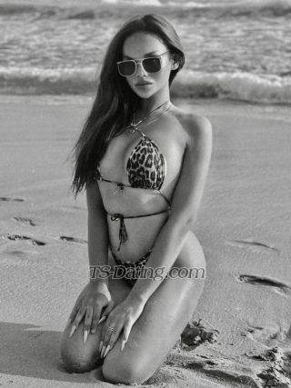 trans girl ArinVVip 9401606 trans girl ArinVVip 9401606