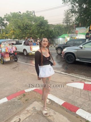 trans girl Aritar 7661988