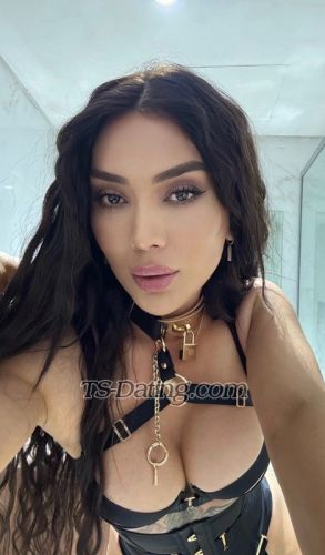 trans girl Asalya24 8347569
