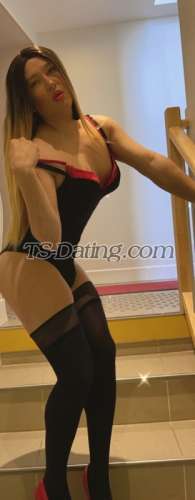 trans girl AshleyHotTs 0304336