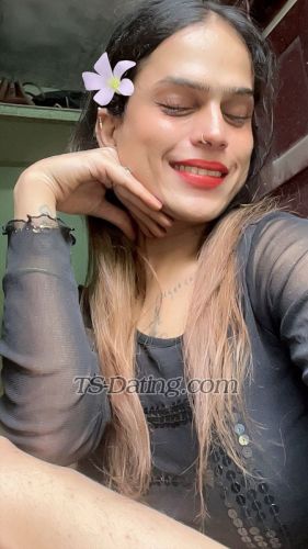 trans girl AshleyKour 2155487 trans girl AshleyKour 2155487