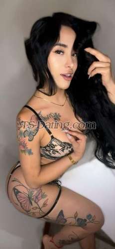 trans girl AshleyMendez 6823942