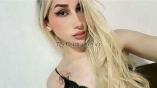 trans girl AshleyThais 9198524