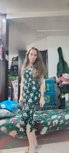 trans girl Ashly34 8266177