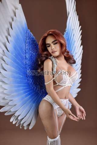 trans girl AsianHUGEdol 8418027