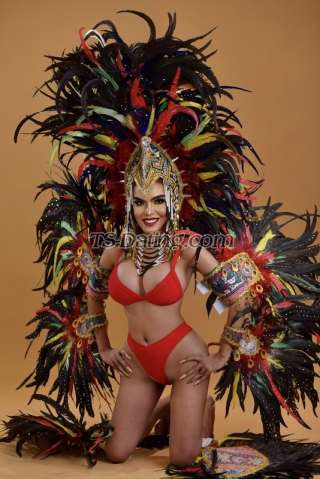 trans girl AsianHUGEdol 8552828