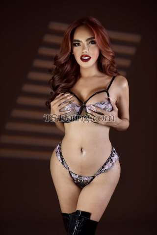 trans girl AsianHUGEdol 8929552