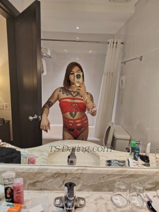 trans girl AtractiveTats 0483208 trans girl AtractiveTats 0483208
